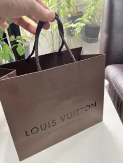 LOUIS VUITTON ショップ袋 ショッパー　22✖︎１８マチ22✖︎11のサムネイル