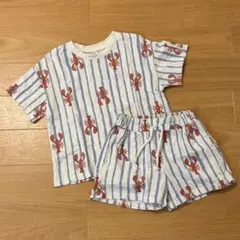 バースデイ / ロブスター / セットアップ / 100cmのサムネイル