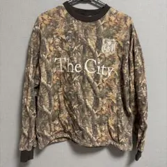 Item thumbnail for item ee2cd684-9577-4964-be16-3c38dca18143