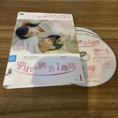 別れの猶予1週間 全巻　韓流