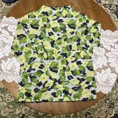 Item thumbnail for item 27b51f6e-ff75-470f-89a1-e6b5366ab570