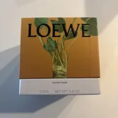 新品！LOEWE BEETROOT アロマキャンドル 170g - メルカリ