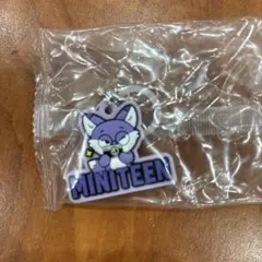 ミニティーン　めじるしアクセサリー　ガチャガチャ
