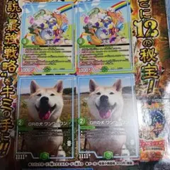 デュエルマスターズ　王子　GRの犬 ワンワンワン　各2枚