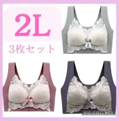 【人気商品】ノンワイヤーブラ　3枚セット　シームレス　ナイトブラ　2L 快適