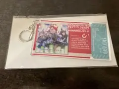 ウマ娘 WINNING LIVE 27 リリイベ チケット風アクリルキーホルダー