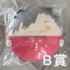 ハイキュー くじメイト ぬいくじ2 B賞ふわコロりんBIG 黒尾鉄朗 - メルカリ