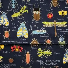 Item thumbnail for item 98d1228e-d9ce-4d30-8072-588639e05d15