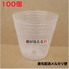 透明 ビニールポット 5cm 100個 育苗 スリット プラポット　苗
