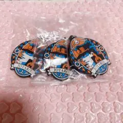 ジョジョの奇妙な冒険 ラバーキーホルダー JOJO 空条承太郎