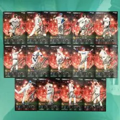 プロ野球チップスプロスピAカード2025 ノーマルカード 14枚セット