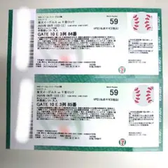 9/13（土）楽天イーグルスVS千葉ロッテマリーンズ 外野席レフト 通路側ペア