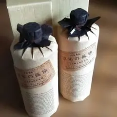 100년의 고독 정통 소주 2병