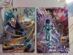 SEC SDV7-SEC ベジット PUR SDV6-VSPUR2 フリーザ