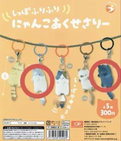 しっぽふりふりにゃんこ