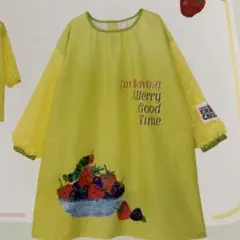 ☆はらぺこあおむし☆ピクニックチュニック【新品】 学研のサムネイル