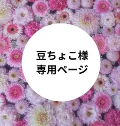 【豆ちょこ様　専用】