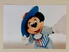 ディズニー 写真セット バラ ミニー