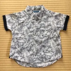 Item thumbnail for item bd95a6fd-4b71-48b0-aeb7-cc6e5d973180