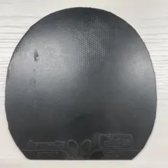ディグニクス09c