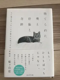 捨てられた僕と母猫と奇跡