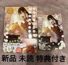 ある日、お姫様になってしまった件について 12巻 特典付き