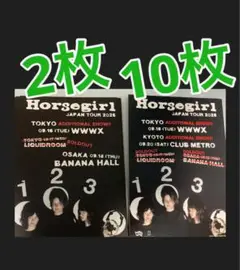 Horsegirl ホースガール　来日公演　フライヤー　チラシ　２種類　洋楽