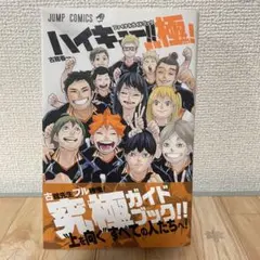 【初版・帯付き】ハイキュー‼︎ファイナルガイドブック 排球 極！しおり付き