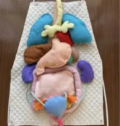 夏休み工作などに 臓器エプロン　手作り