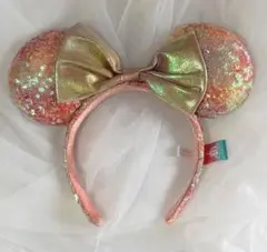 【美品】ディズニー 40周年 カチューシャのサムネイル