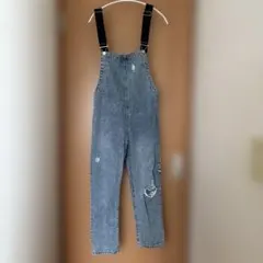 ANAPのサムネイル