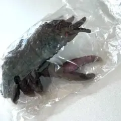 ゴジラブルマァク伝説　大がに怪獣ガニメ 【未開封】