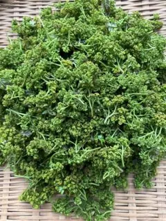 花山椒 【秀品 】奈良県吉野産 無農薬 期間限定 冷蔵着払 100g