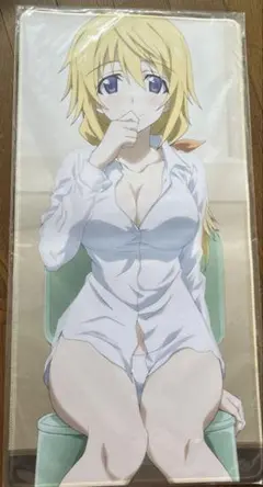 希少品 インフィニット・ストラトス IS シャルロット・デュノア プレイマット