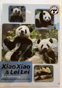 2025年最新】シャオシャオ レイレイ クリアファイルの人気