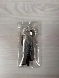 &TEAM NICHOLAS アクリルチャーム