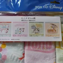 ディズニーランド購入　ミニタオルセット