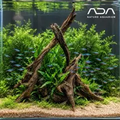 ②ADAスリムウッド 7本 流木 未使用 30〜60㎝水槽用 - メルカリ