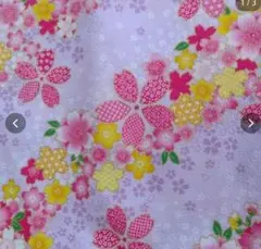 Item thumbnail for item fc920754-e118-423f-a0b6-8ddf15cba0f6