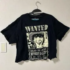 Item thumbnail for item 984dfef1-e4a8-42e2-a8ee-72c4f9323c63