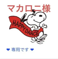 マカロニ様　専用です