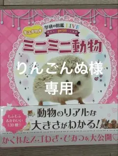 ⏦りんごんぬ様 リクエスト 3点 まとめ商品