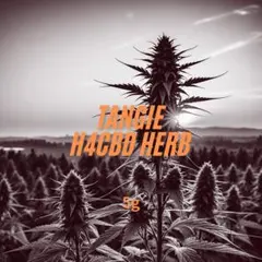 2025年最新】H4CBDの人気アイテム - メルカリ