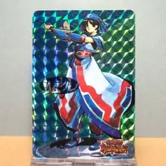 snk サムライスピリッツ コレクション　ページ　カード カードダス　まとめ サムライスピリッツ カードコレクション 初版 ノーマルコンプ レア