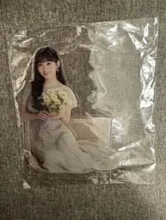 叶美香 マウスパッド 立体 おっぱいマウスパッド アクリルスタンド 叶