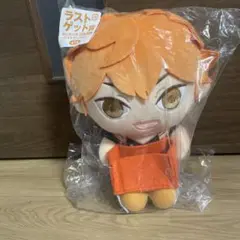 日向翔陽 ぬいぐるみ ラストゲットver. 新品未使用