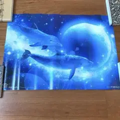 C.R. LANSEN イルカの絵画　クリスチャンラッセン C.R. LANSEN イルカの絵画 クリスチャンラッセン C R LANSEN
