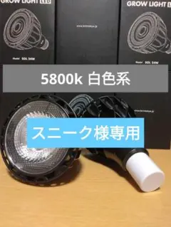 植物育成ライト ガーデニング