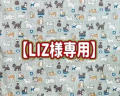 【LIZ様】リクエスト用ランチョンマット×2枚と巾着袋×2枚の計4枚