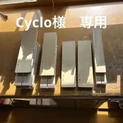 Item thumbnail for item 2bb83799-3c11-4e2d-8b45-7f71d292857a